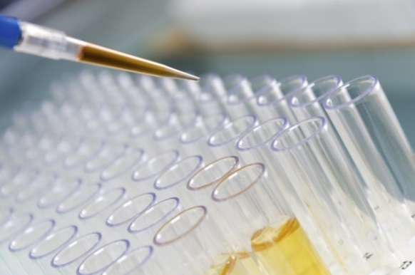 歐盟法院重新對「物品」定義為產(chǎn)品的零部件判決