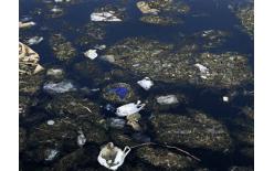 深圳SAG海洋環(huán)境監(jiān)測機(jī)構(gòu)海洋環(huán)境污染現(xiàn)狀監(jiān)測