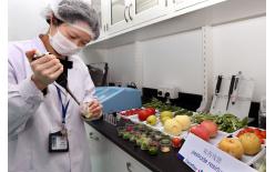 農(nóng)產(chǎn)品檢測(cè)之無公害農(nóng)產(chǎn)品認(rèn)證檢測(cè)