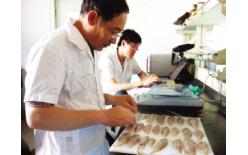 深圳水產(chǎn)及水產(chǎn)制品檢測(cè)SAG中檢聯(lián)供海鮮檢測(cè)服務(wù)