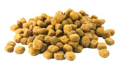 全價(jià)貓糧檢測(cè)服務(wù)