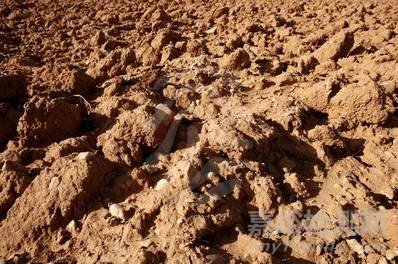 史上最完整土壤知識