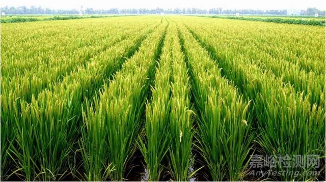 史上最完整土壤知識