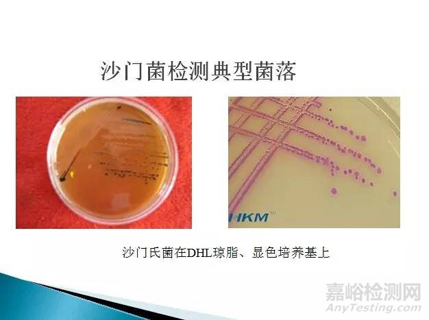 沙門氏菌檢測(cè)標(biāo)準(zhǔn)、方法及實(shí)驗(yàn)關(guān)鍵點(diǎn)