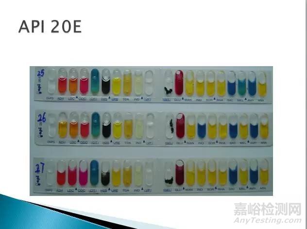 沙門氏菌檢測(cè)標(biāo)準(zhǔn)、方法及實(shí)驗(yàn)關(guān)鍵點(diǎn)