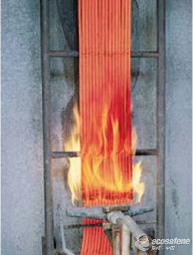 成熟燃燒測(cè)試