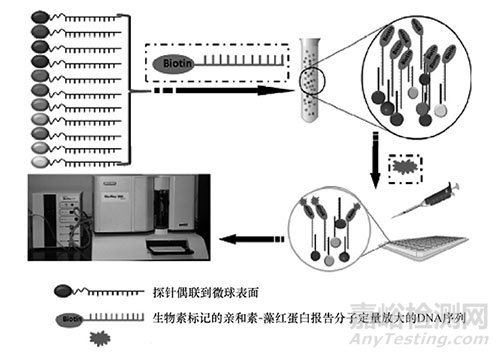 食品安全檢測新技術，懸浮芯片技術