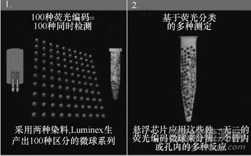 食品安全檢測新技術，懸浮芯片技術