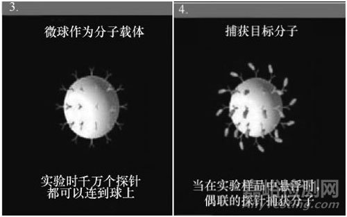 食品安全檢測新技術，懸浮芯片技術