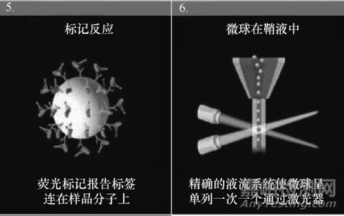 食品安全檢測新技術，懸浮芯片技術