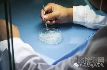 羽絨服檢測(cè)項(xiàng)目