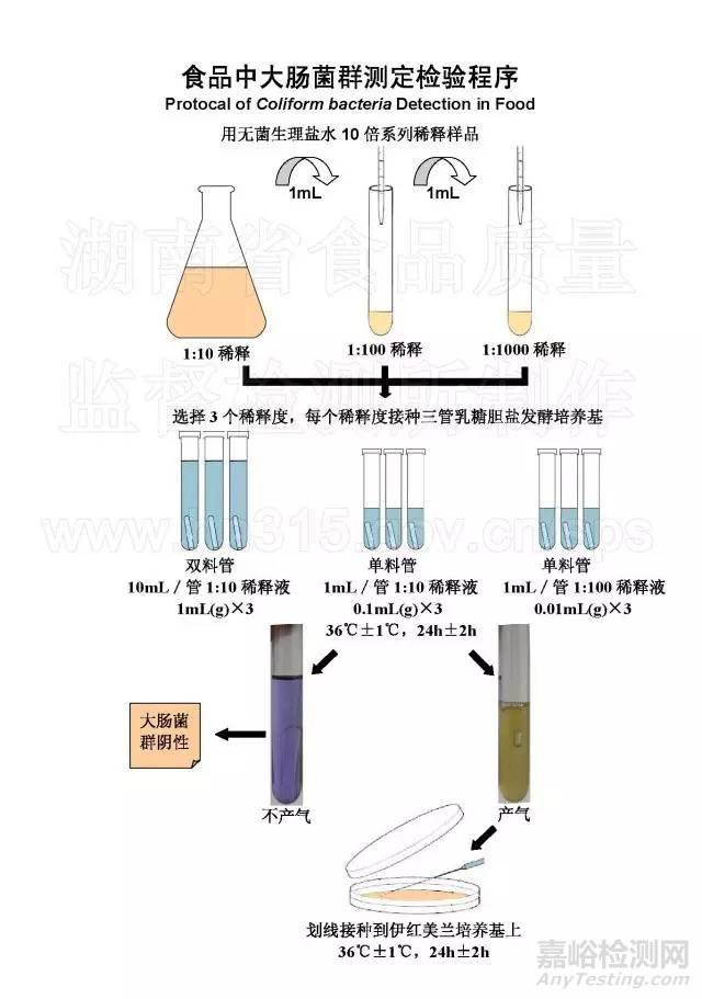 食品微生物檢測