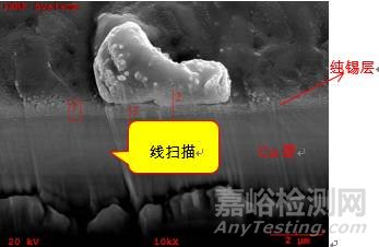 過(guò)爐一次焊盤(pán)剖面的SEM照片+EDS能譜圖