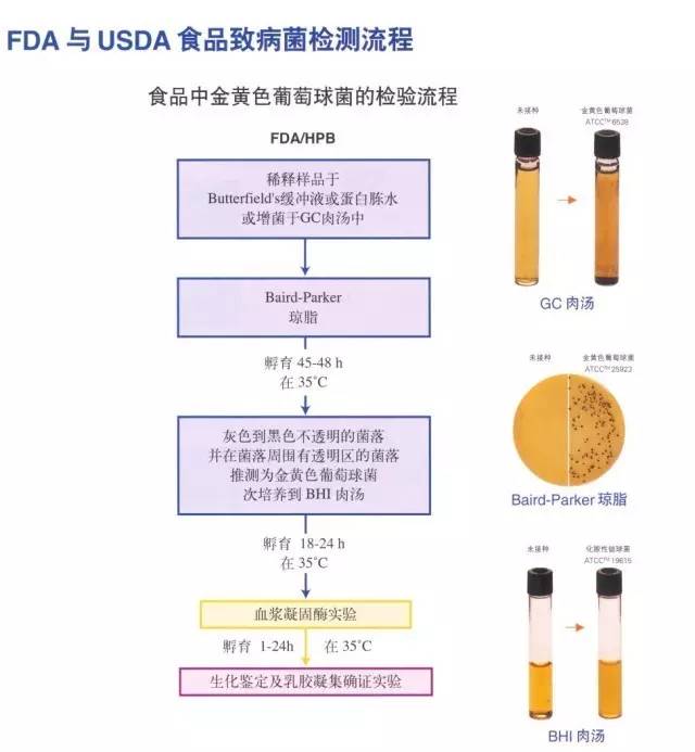  FDA與USDA食品致病菌檢測流程