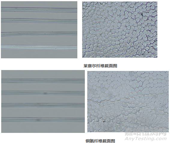 再生纖維素纖維顯微鏡鑒別方法