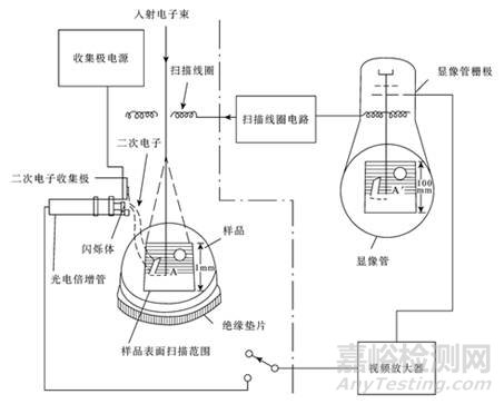 掃描電子顯微鏡