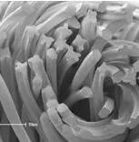 標(biāo)準(zhǔn)大氣