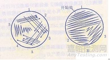 微生物檢驗——細(xì)菌的接種方法
