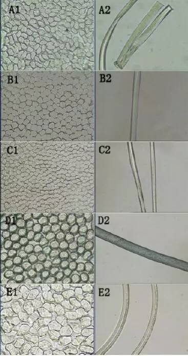 兩種聚酯復(fù)合纖維的定性鑒別方法探討