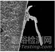 錫須是什么？