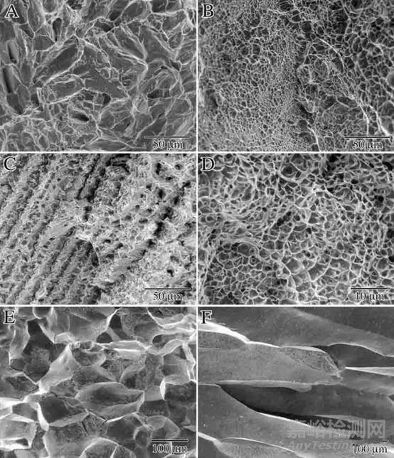 拉伸試驗(yàn)材料斷裂面掃描電鏡圖像
