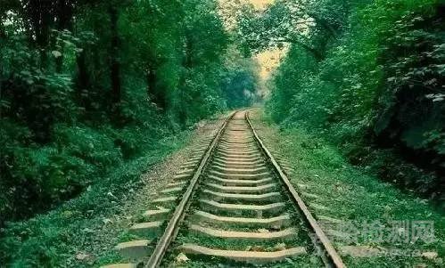 鐵軌的接觸疲勞損傷問題