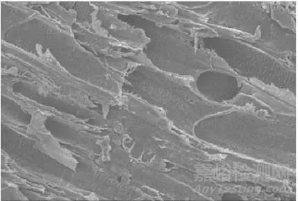 表面潤濕性對能源器件性能的影響