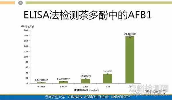 普洱茶致癌，黃曲霉素