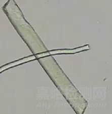 動(dòng)物纖維鑒別難點(diǎn)以及測(cè)試方法