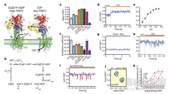 《自然》《科學》一周（11.6-11.12）材料科學前沿要聞