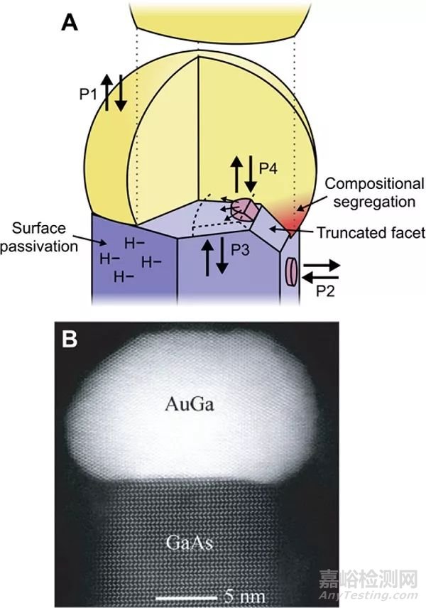 材料前沿最新綜述精選(2017年12月第1周)
