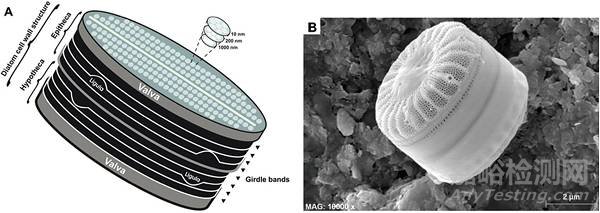 材料前沿最新綜述精選(2017年12月第1周)