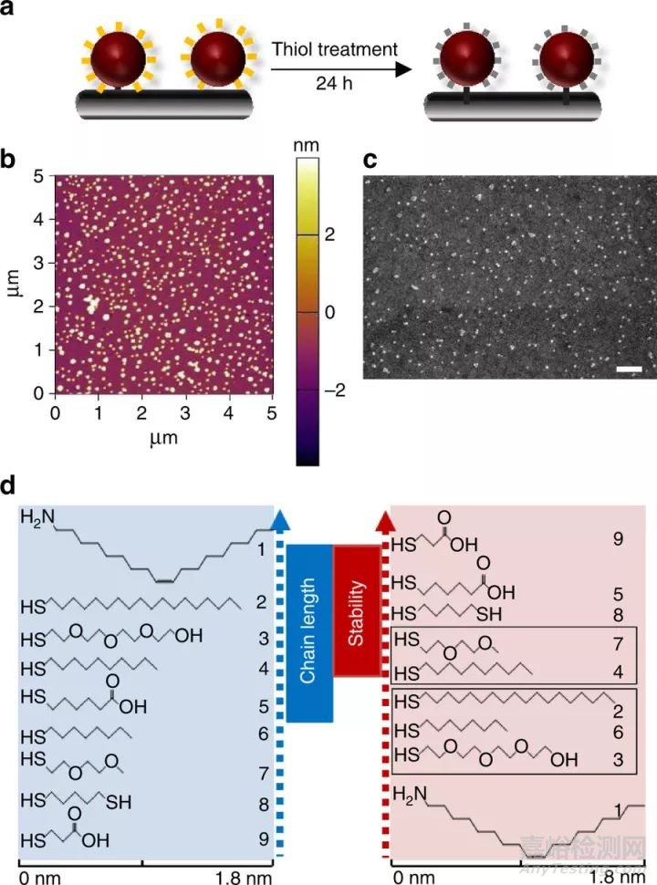 納米前沿最新集錦20171205 
