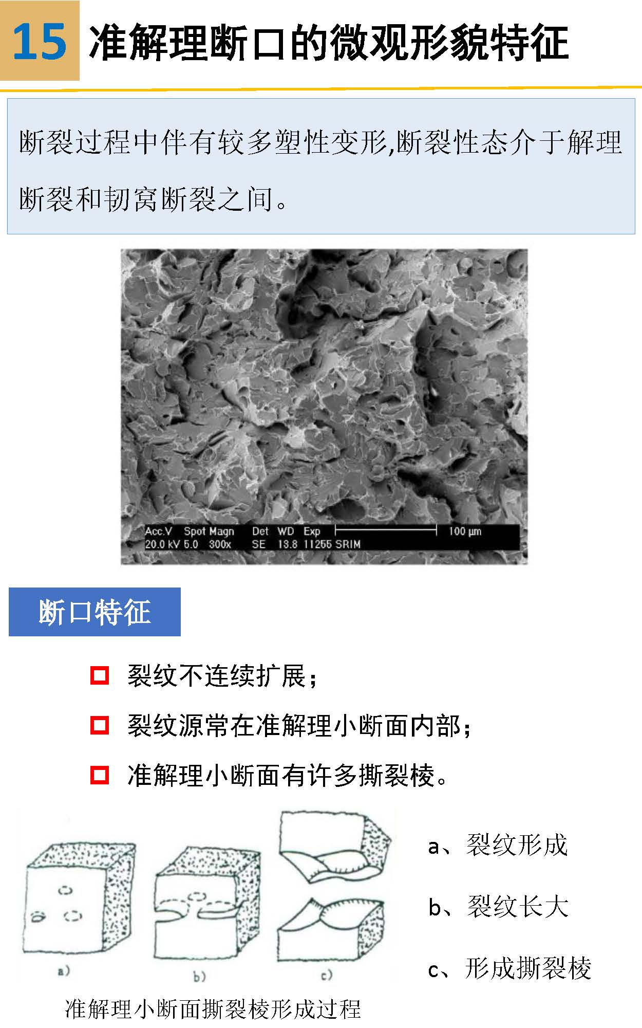 一組圖看懂材料裂紋與斷口分析