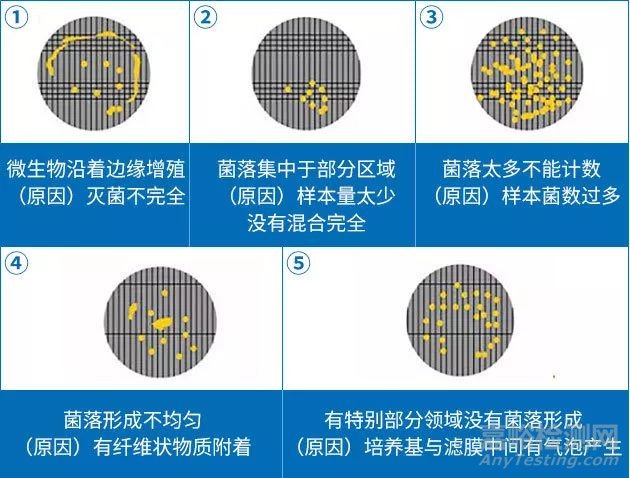 制藥用水微生物檢測中的常見問題
