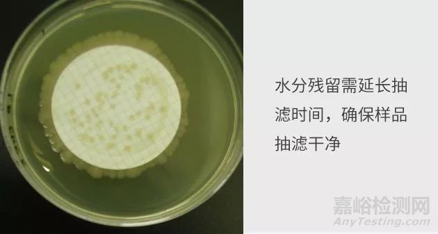 制藥用水微生物檢測中的常見問題