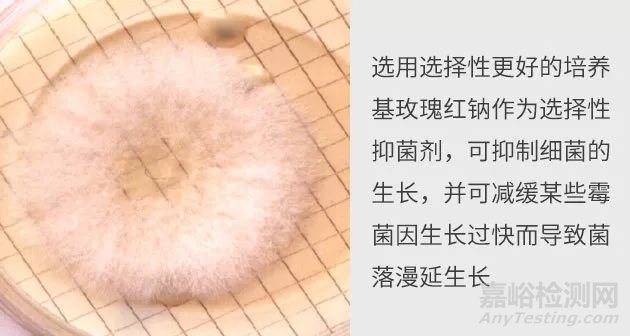 制藥用水微生物檢測中的常見問題