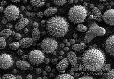 材料分析中十個(gè)經(jīng)典測(cè)試項(xiàng)目