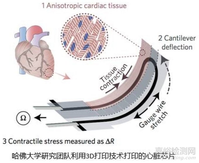 深度談醫(yī)用傳感器