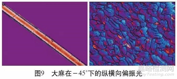 各類麻纖維在不同顯微鏡下的特征分析
