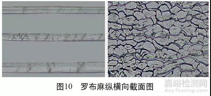 各類麻纖維在不同顯微鏡下的特征分析