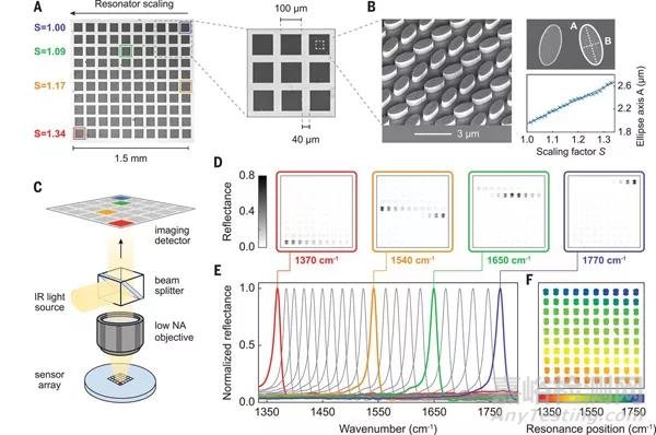 用于分子檢測的超表面技術(shù)