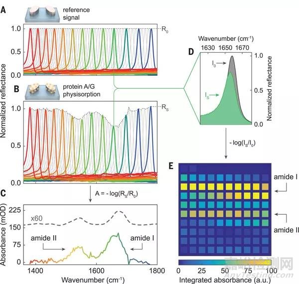 用于分子檢測的超表面技術(shù)