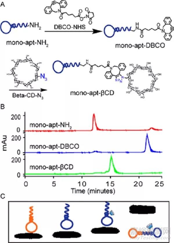 超分子組裝的圓形二階適體用于增強功能蛋白質(zhì)的傳遞