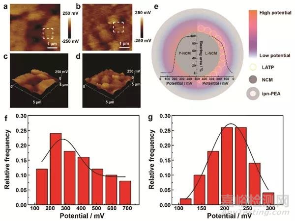 離子導(dǎo)體層減弱正極-固態(tài)電解質(zhì)的界面電位，增強(qiáng)固態(tài)電池的界面動(dòng)力學(xué)