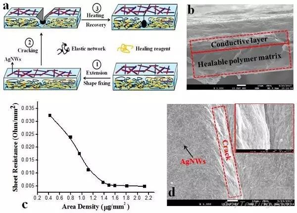 Applied Sciences-Basel:可拉伸電極的形狀記憶增強(qiáng)電學(xué)自修復(fù)