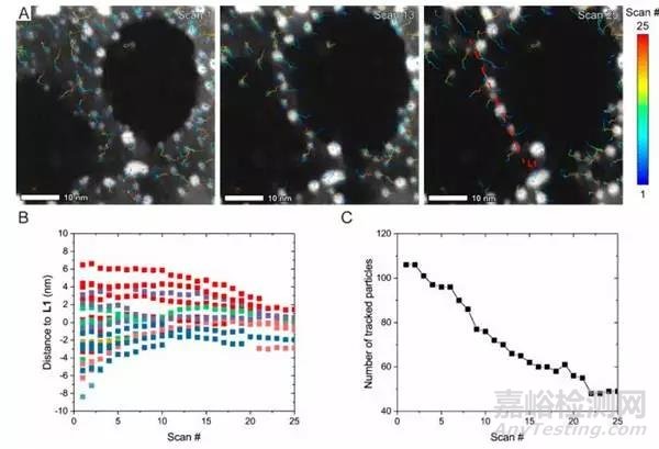 美國(guó)西北大學(xué)JACS：在聚合物納米反應(yīng)器中，無(wú)窗觀察Au-Pt納米粒子蒸發(fā)誘導(dǎo)粗化