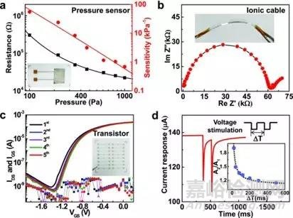一種具有觸覺知覺學(xué)習(xí)的人工感覺神經(jīng)元