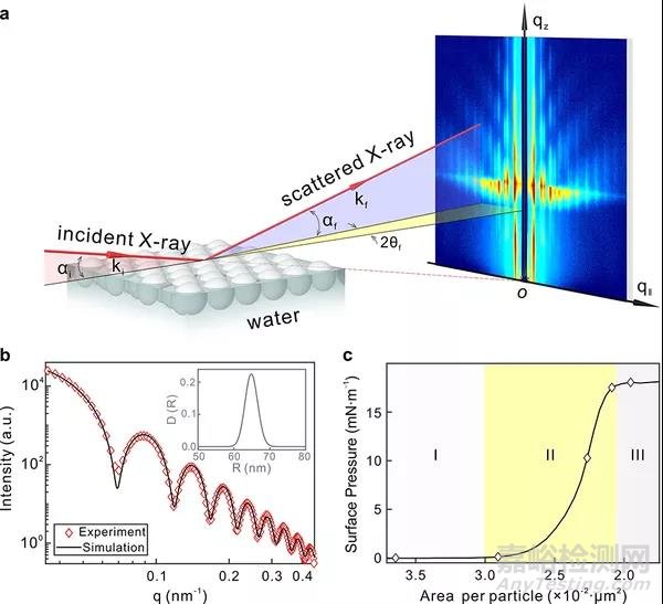 形成二維超晶格結構的過程研究取得重大進展