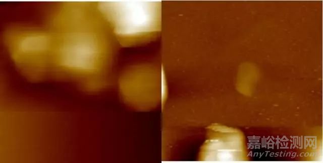 原子力顯微鏡（AFM）的使用和成像技巧